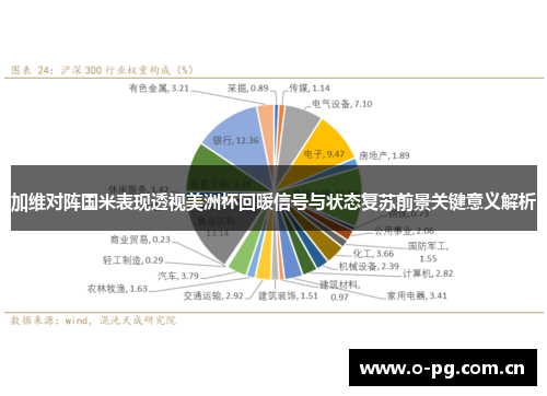 加维对阵国米表现透视美洲杯回暖信号与状态复苏前景关键意义解析